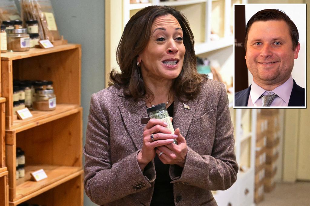 Washington Post columnist slammed for reporting on Harris shopping list: 'You should be embarrassed'