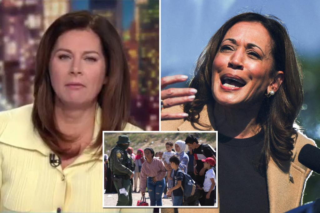 CNN's Erin Burnett seems shocked that Kamala Harris supported taxpayer-funded gender surgery for immigrants